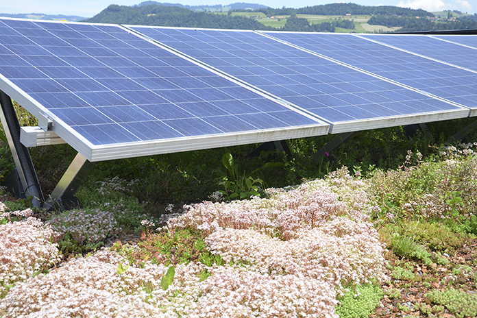© Contec AG, Greenlight Begrünung und PV